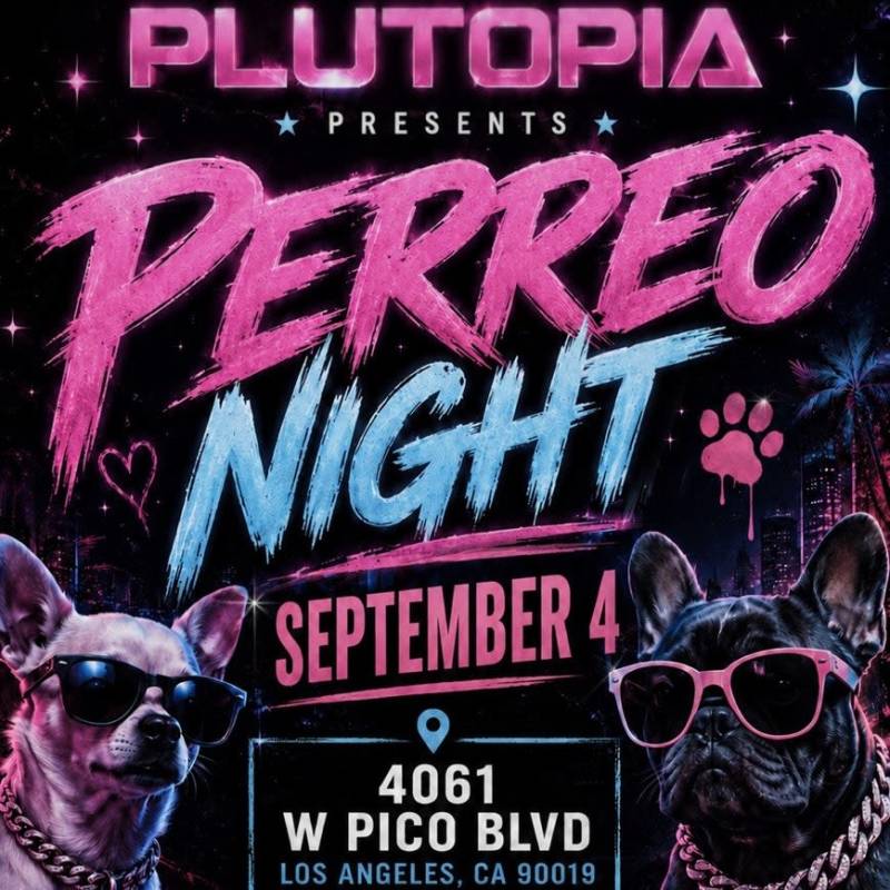 Perreo Night