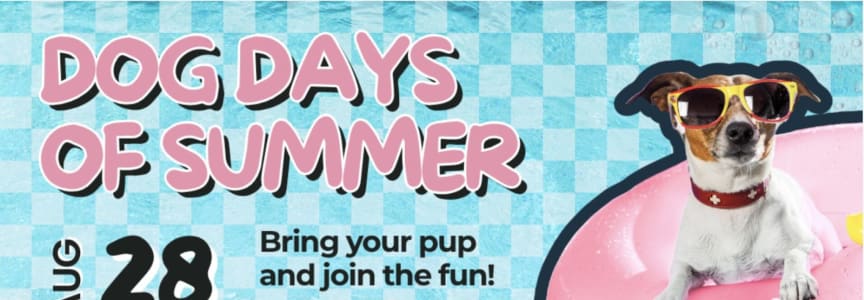 Yappy Hour: Dog Days of Summer