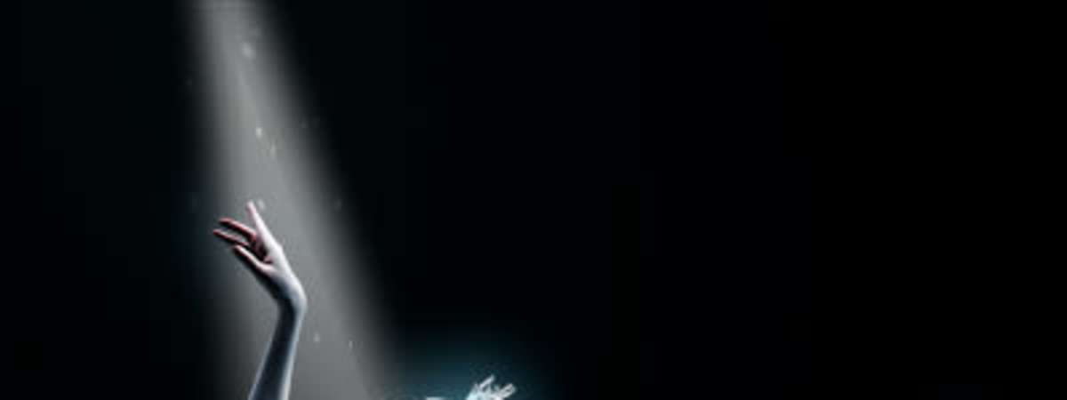 The Swan Lake: Symphony of Lights