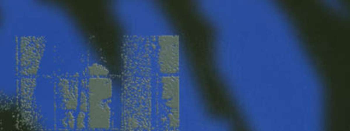 Buzz Kull + Kontravoid w/ Cursing + Killyouclub DJs