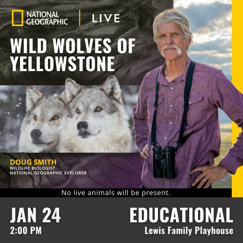 National Geographic Live: Wild Wolves of Yellowstone
