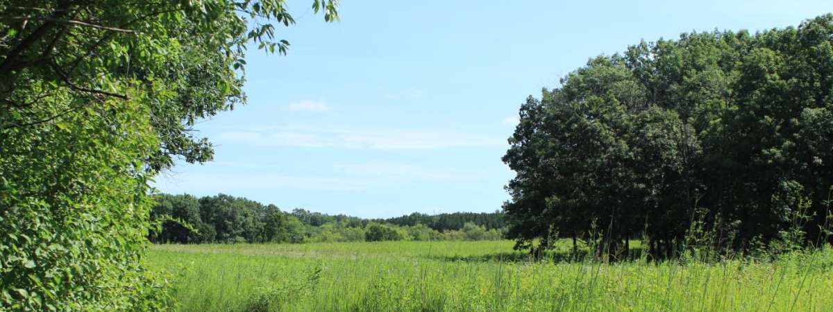 Morning Prairie Walk