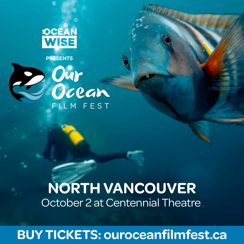 Our Ocean Film Fest