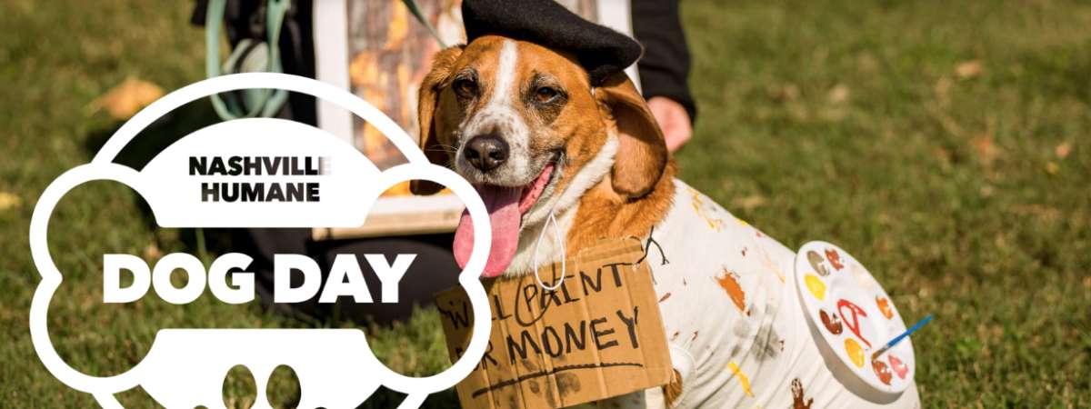 Dog Day Festival