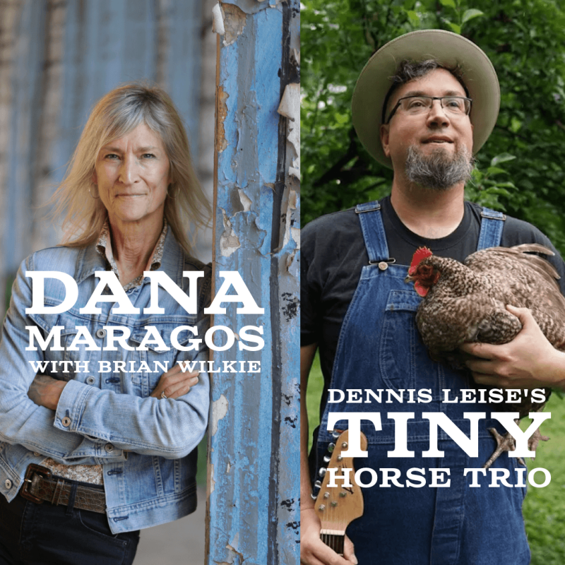 Double Bill - Tiny Horse Trio and Dana Maragos