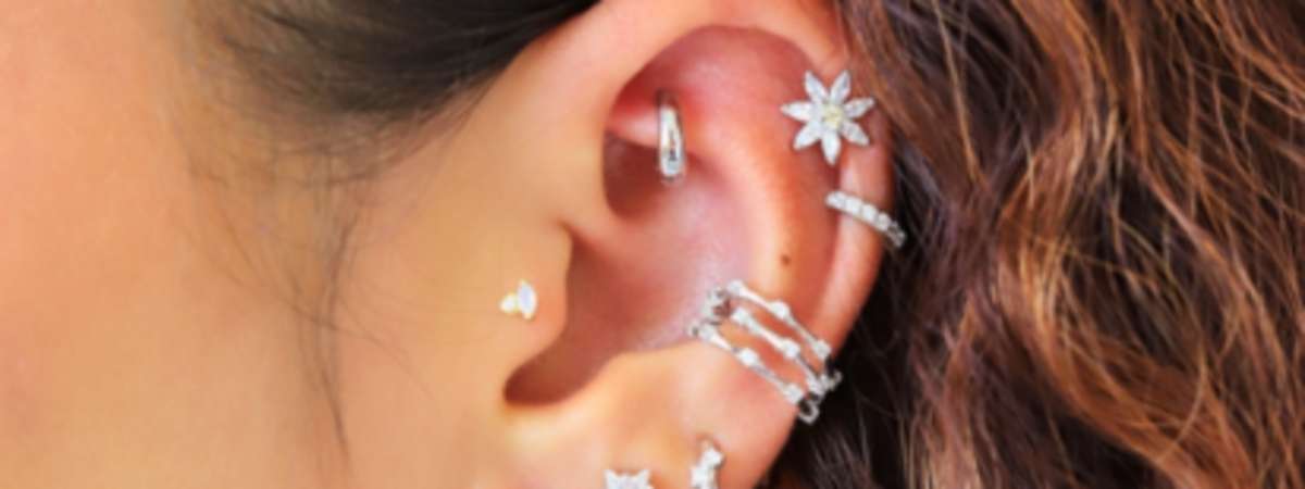 Burdlife: Free Piercing