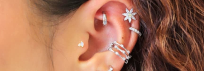 Burdlife: Free Piercing