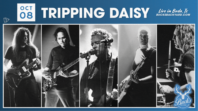 Tripping Daisy