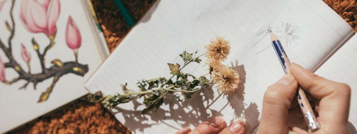 Drawing in the Garden: Herbarium