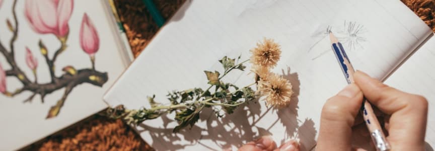 Drawing in the Garden: Herbarium