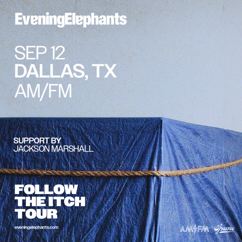 Evening Elephants