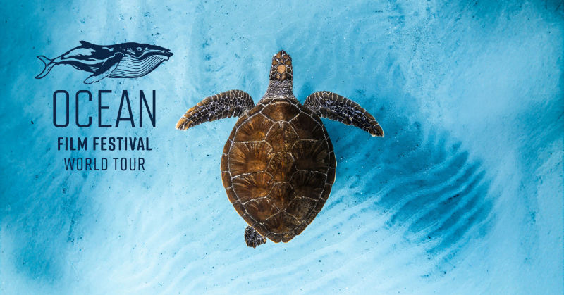 Ocean Film Festival World Tour 2026