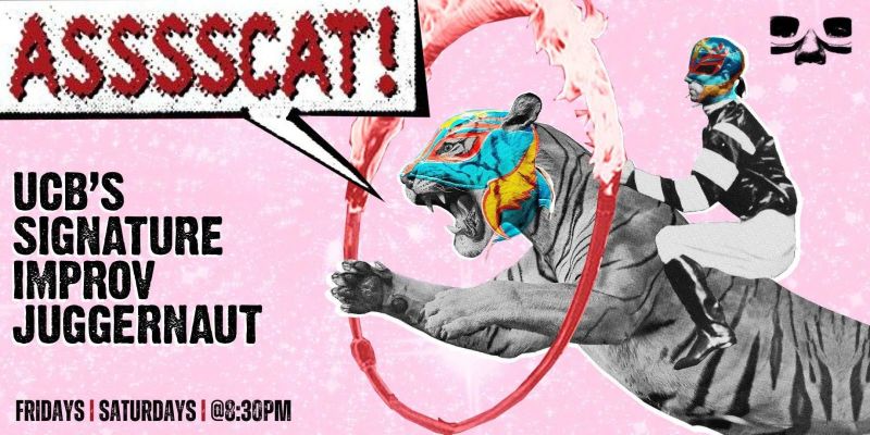Asssscat Ny