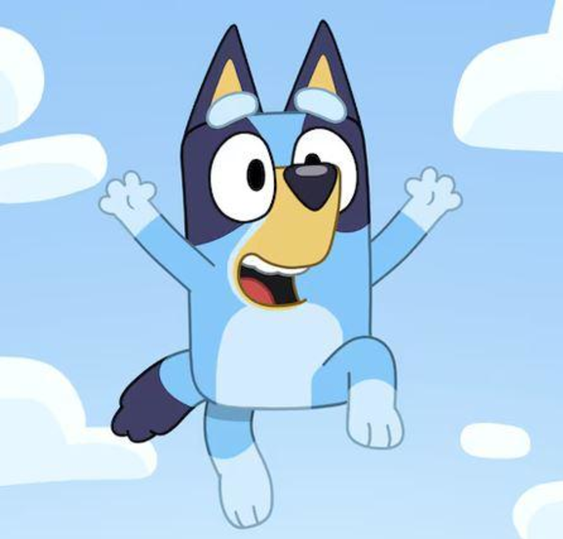 D&B and Bluey FUN!