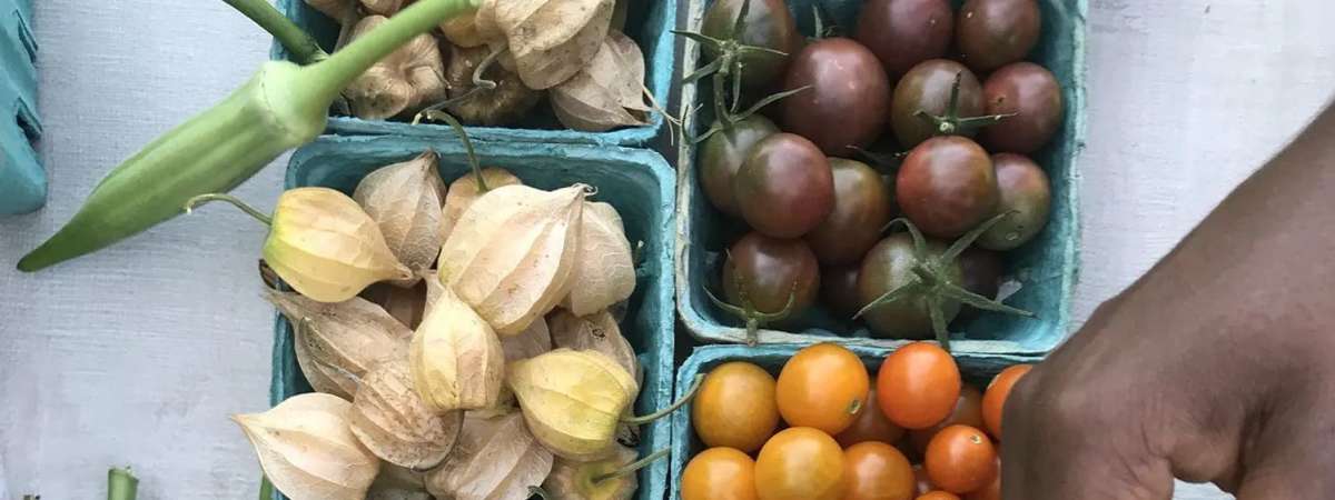 Sankofa Farm Stand at Clark Park