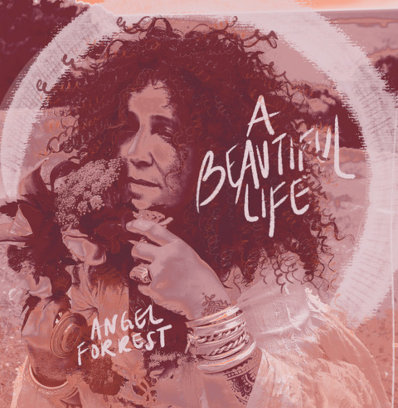A Beautiful Life