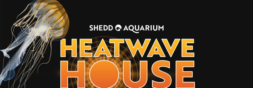 Heatwave House Party at Shedd Aquarium