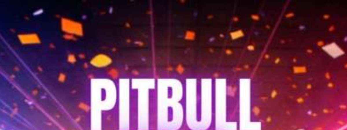 Pitbull Rave: The Ultimate Pitbull TRibute Dance Party