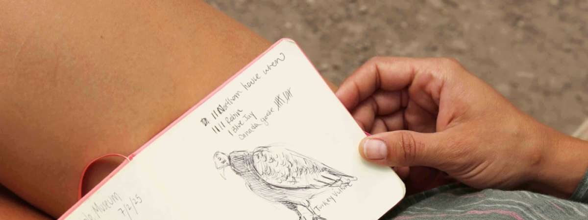 Nature Arts for Health: Nature Journal Making