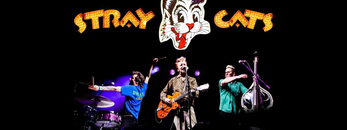 The Stray Cats with The Chin Chins
