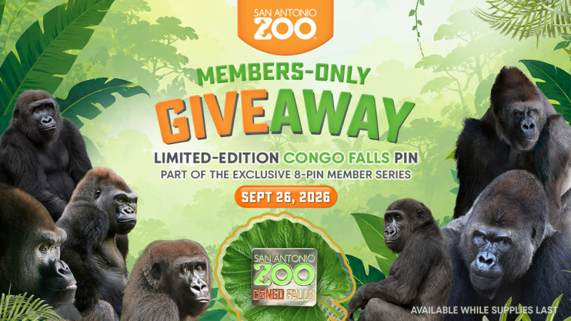 Member Giveaway Pin Day