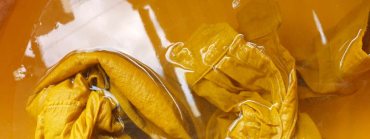Creative Explorations: Natural Dyes from Bark and Nuts