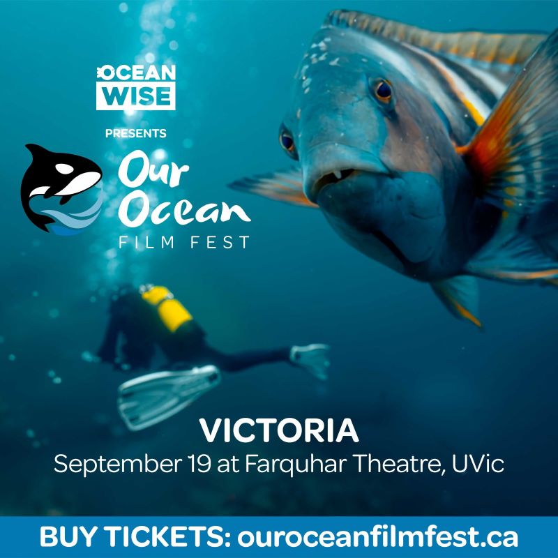 Our Ocean Film Festival