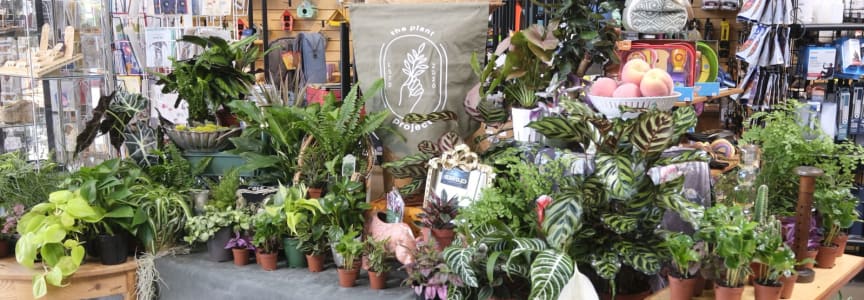 Bring The Outdoors In