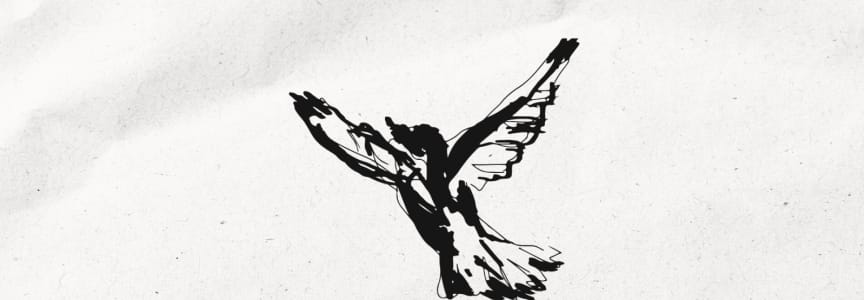 The Nina Variations