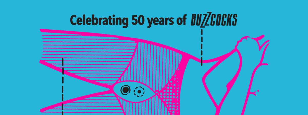Buzzcocks - Celebrating 50 Years Of Buzzcocks, Modern English - Grade 2
