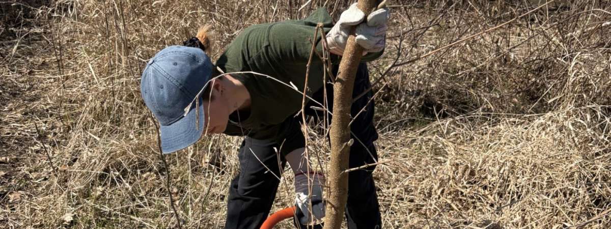 Restoration Workday