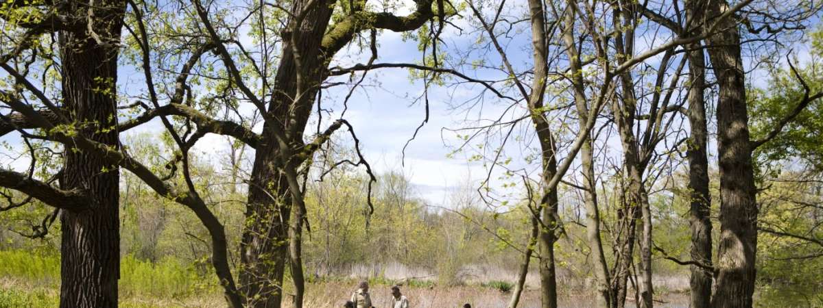 Junior Naturalist Walk