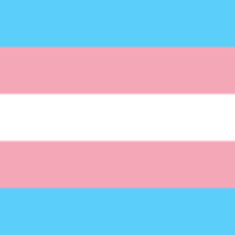 Intergenerational Trans Storytelling Group
