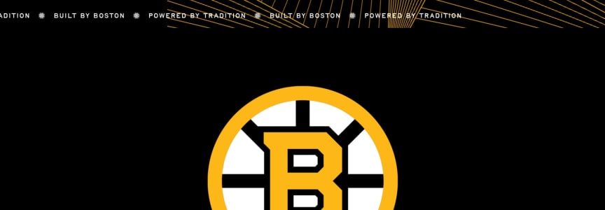 Boston Bruins vs. Washington Capitals