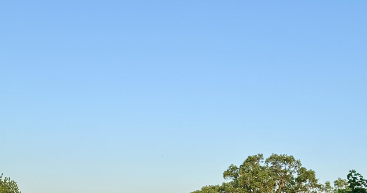 Yoga for Golfers