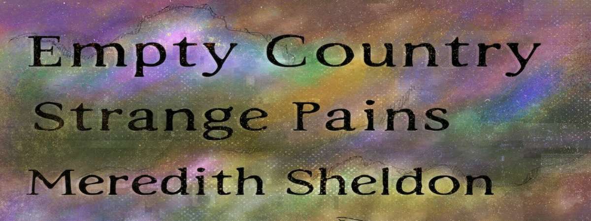 Empty Country / Strange Pains / Meredith Sheldon