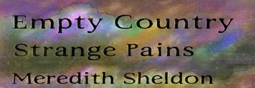 Empty Country / Strange Pains / Meredith Sheldon