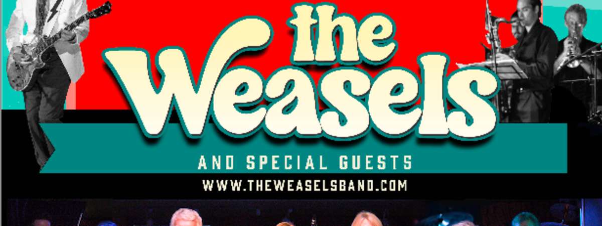 The Weasels - Rock n' Roll Sundays