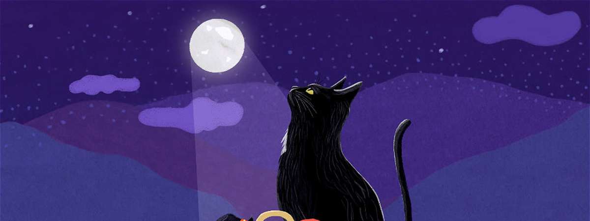 The Lucky Life of a Black Cat
