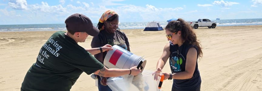 Neighbors for Nature: Quintana Beach County Park