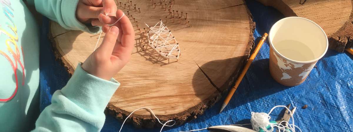 Nature’s Art Box