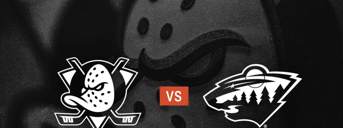 Ducks vs. Wild