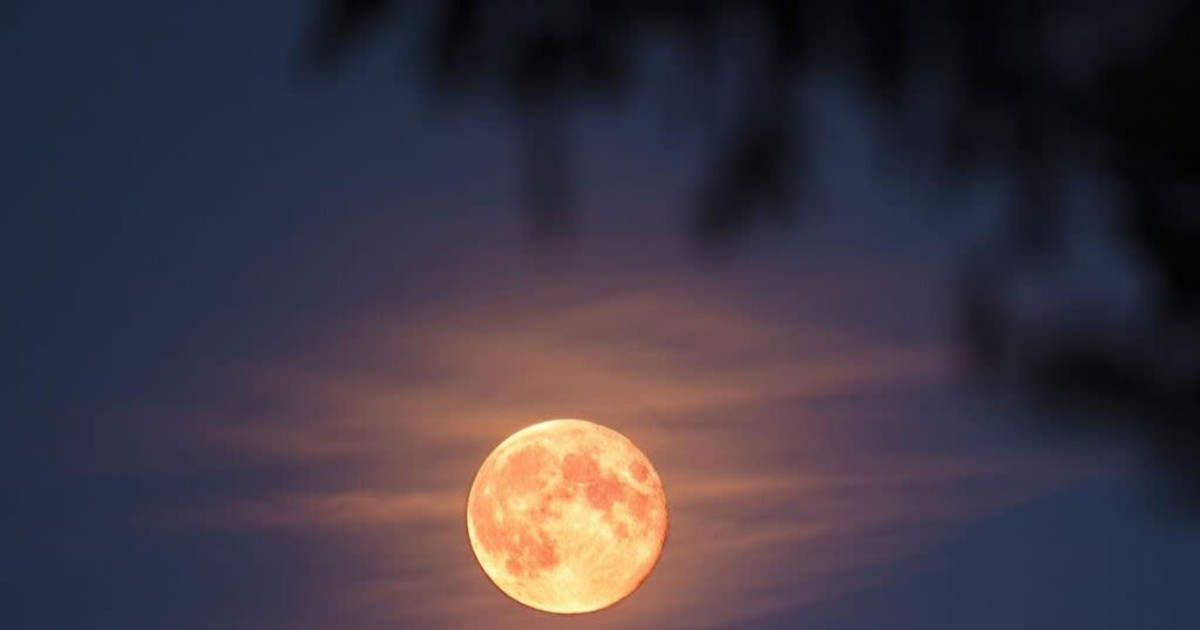 Park After Dark: Moonwalk + Stargazing at Lemon Hill, Fairmount Park