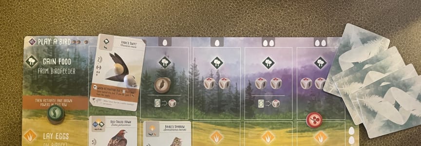 Ecology Board Game Cafe