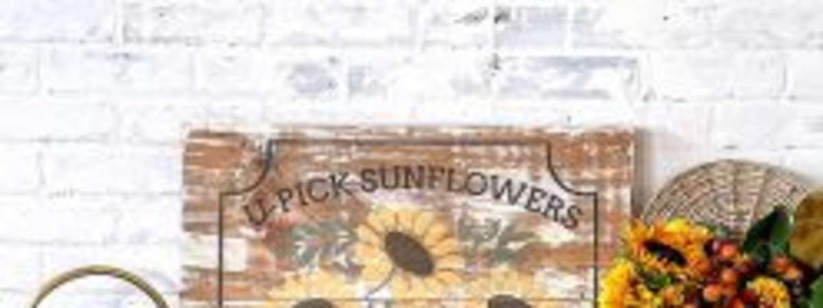 Pick Your Project Workshop