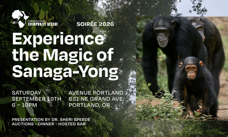 Sanaga-Yong Chimpanzee Rescue Fundraiser