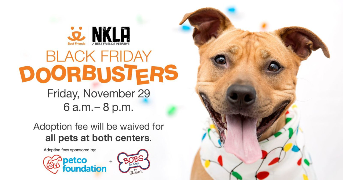 Black Friday Adoption Special in Mission Hills at Best Friends