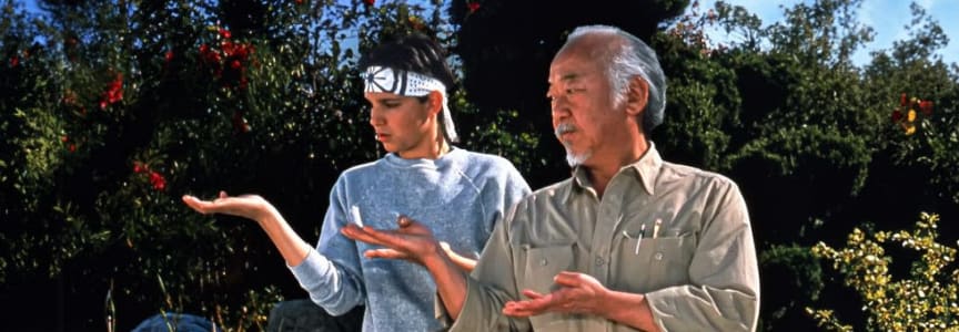 Neighborhood  Movie Night - The Karate Kid (1984)