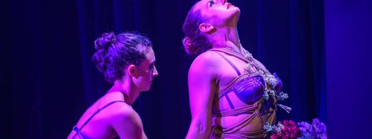 Shibari & Strings: Resonance in Restraint