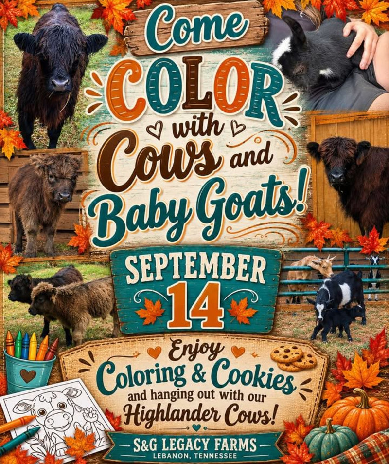 Family Fun Coloring, Cookies and Cow Cuddles - Click for showtimes